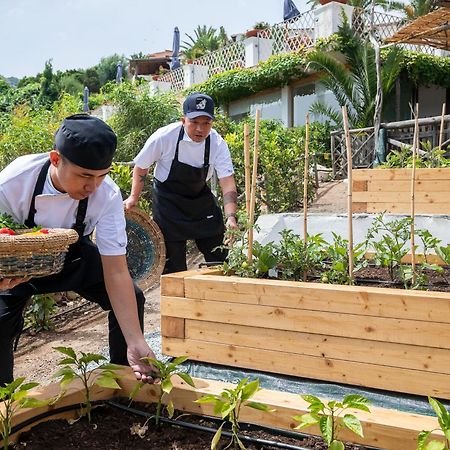 Hotel Balocco Порто-Черво Екстер'єр фото